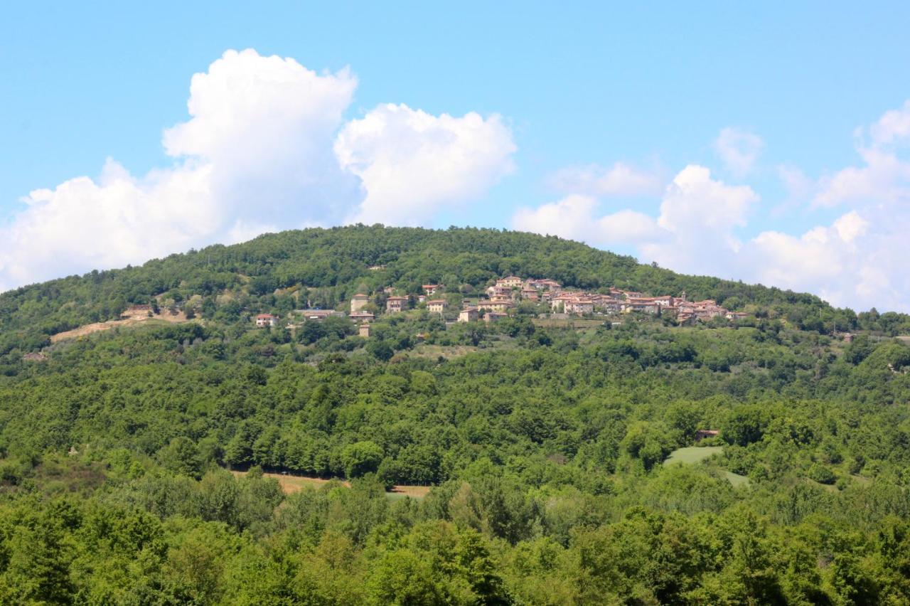 Agriturismo La Via Dell'Oliviera Ciciano Ngoại thất bức ảnh